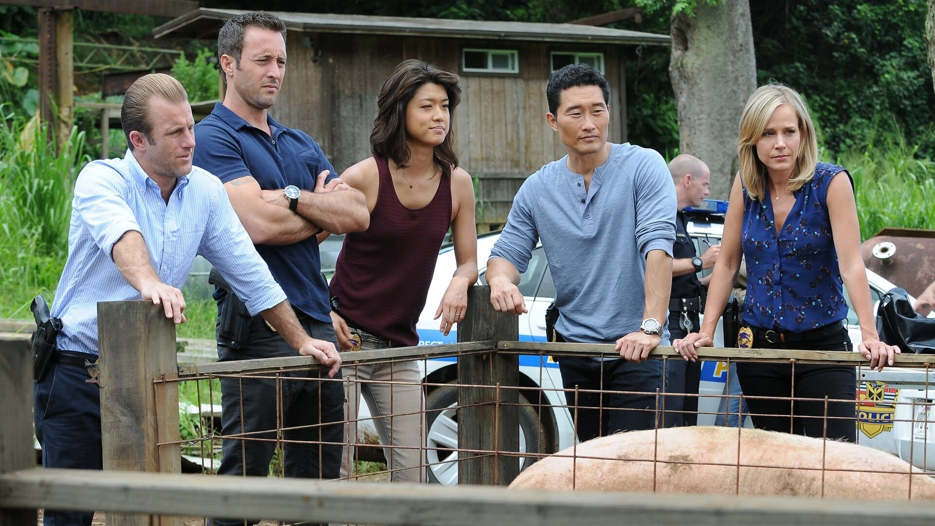 Hawaii Five-0