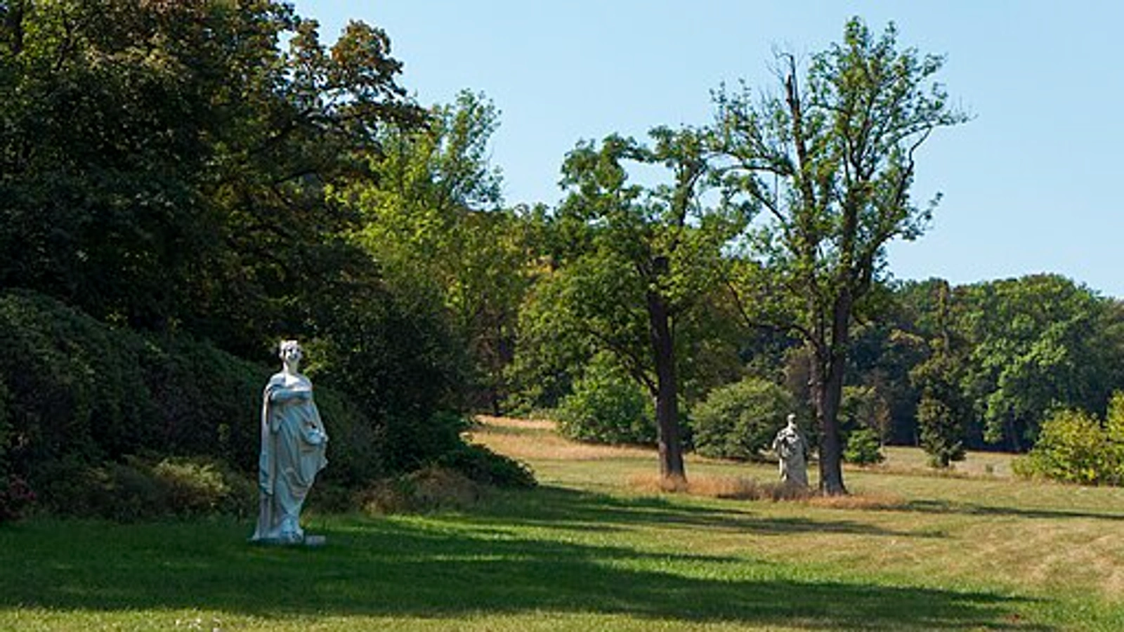 Titelbild
