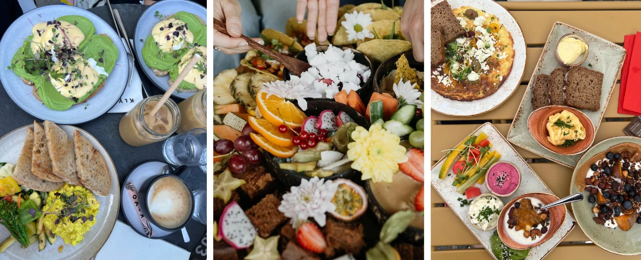 Verschiedene köstliche Brunch-Gerichte: Avocado-Toast, Früchteplatte, Omelett & mehr.