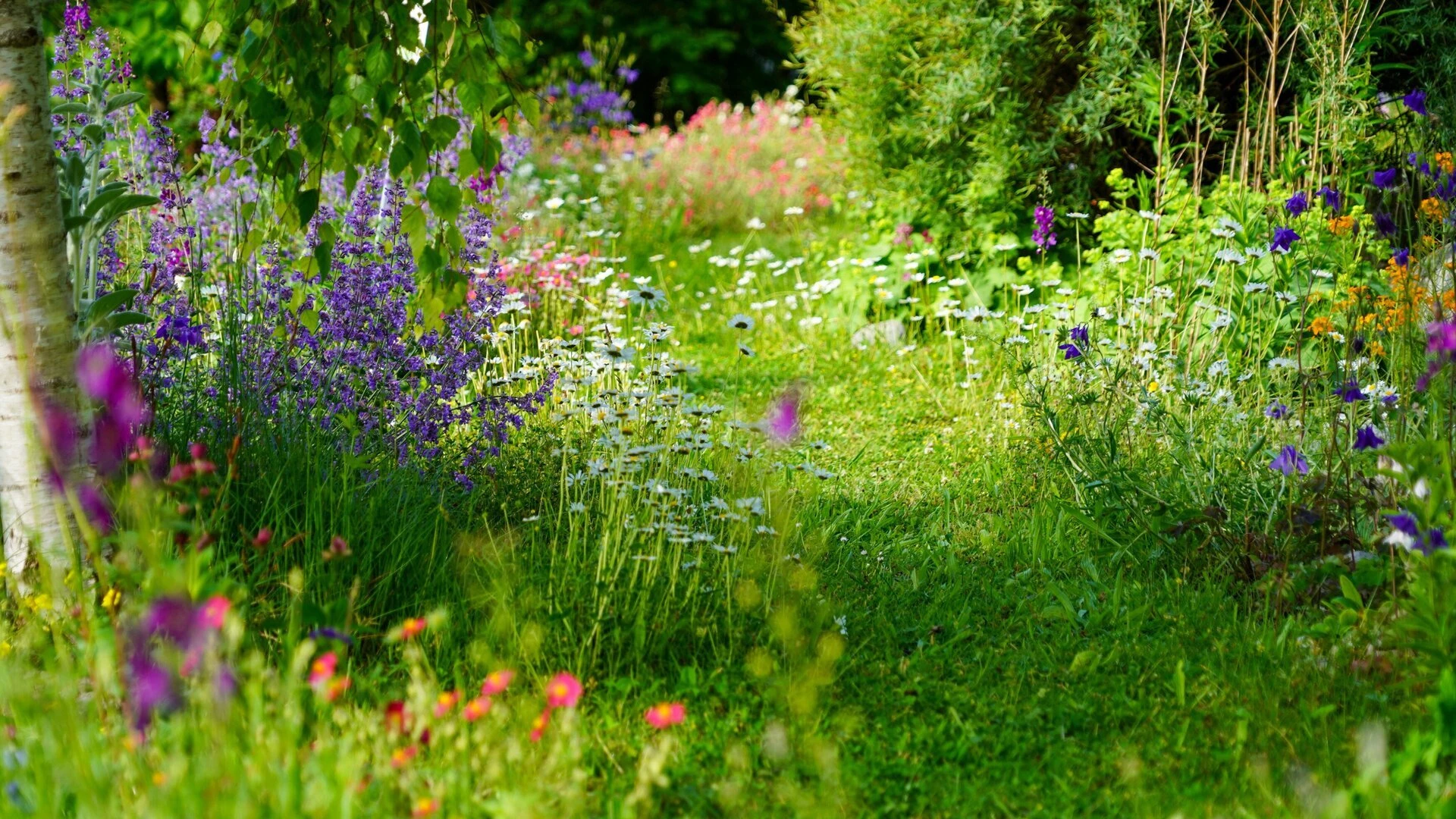 Natur im Garten