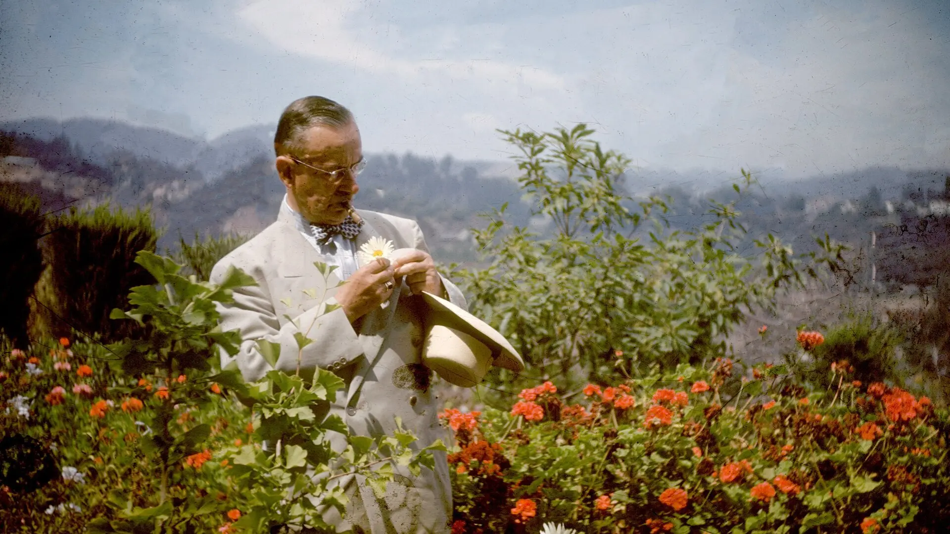 Bekenntnisse des Hochstaplers Thomas Mann