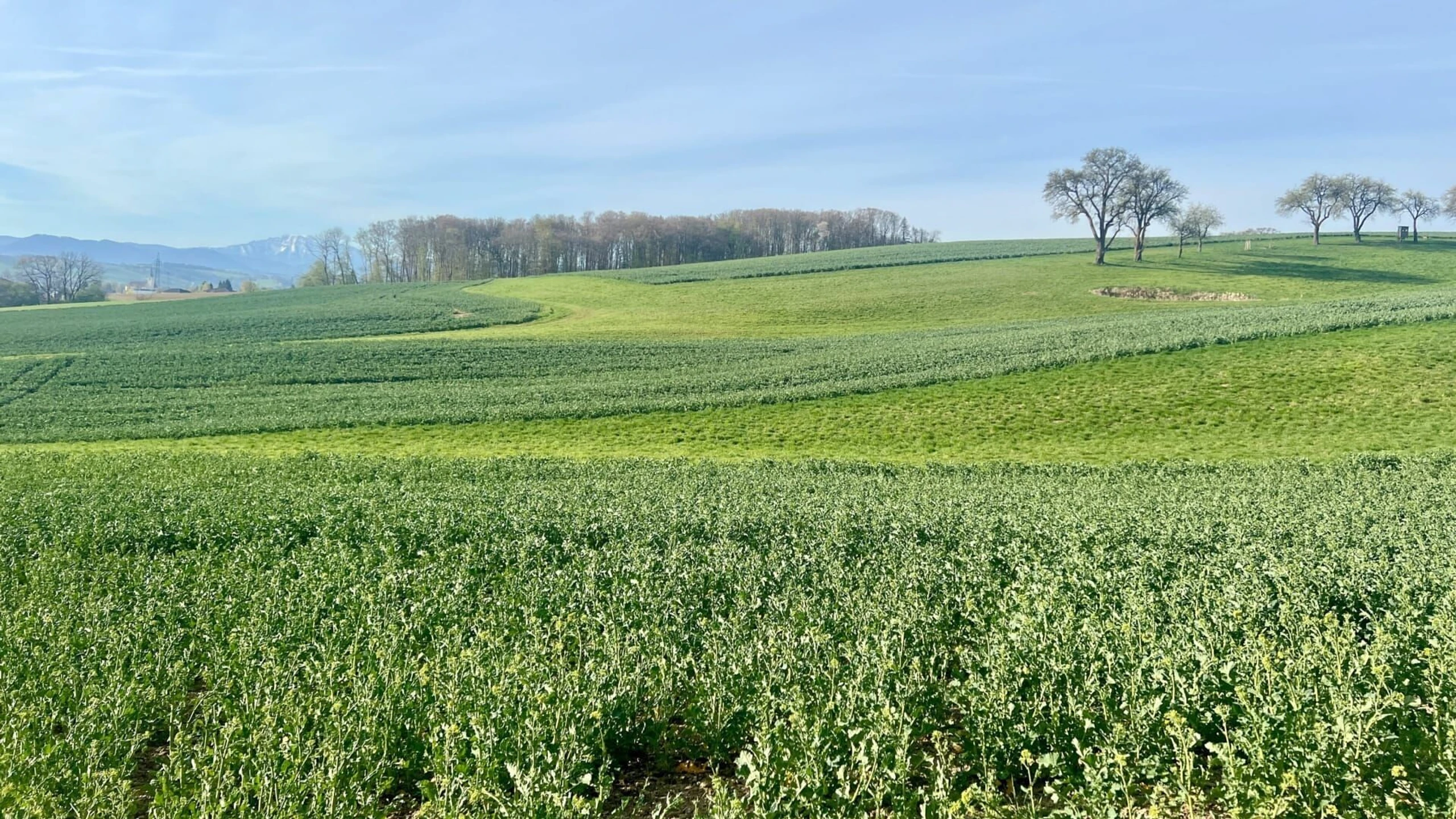 Zurück zur Natur