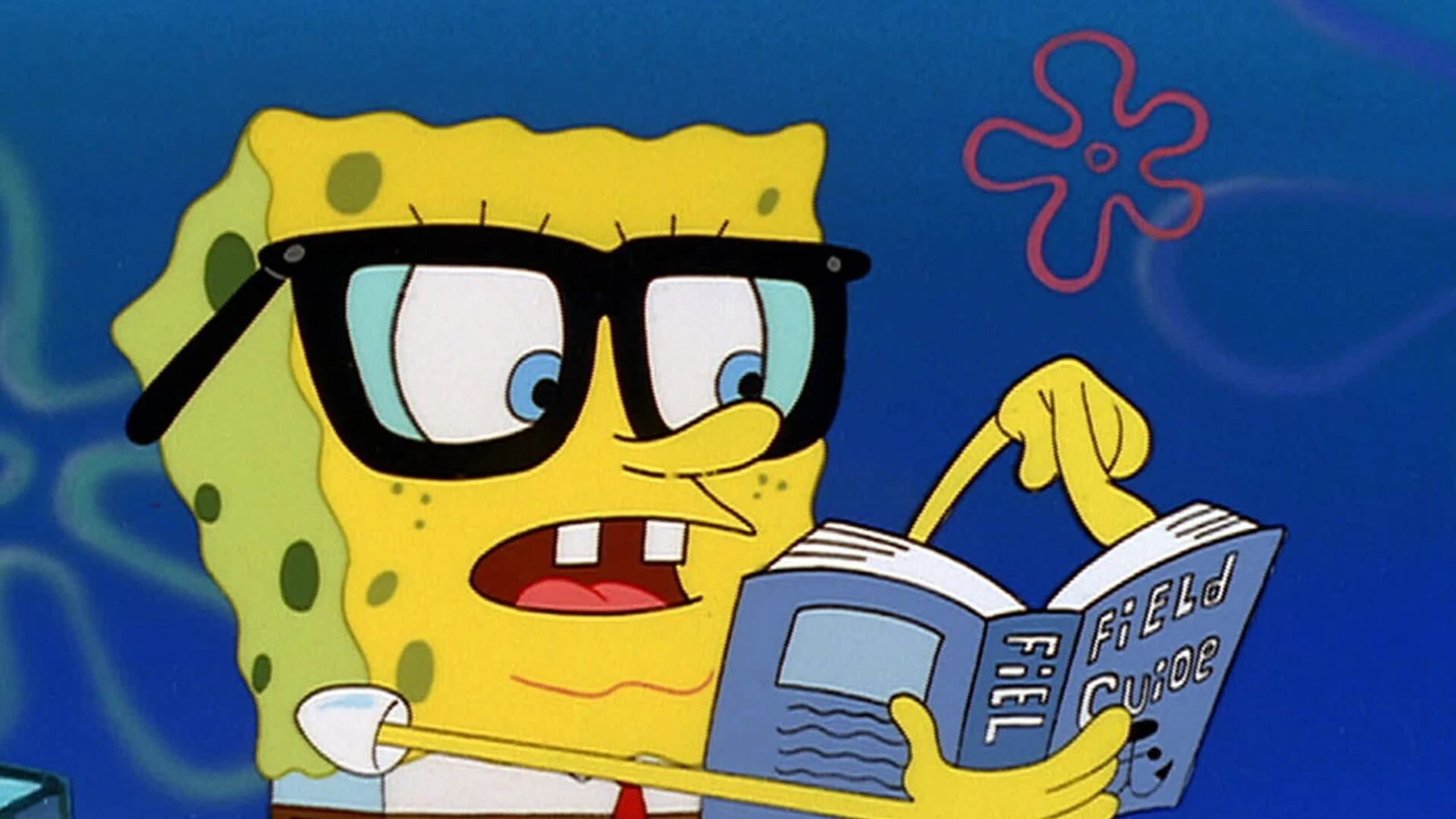SpongeBob Schwammkopf