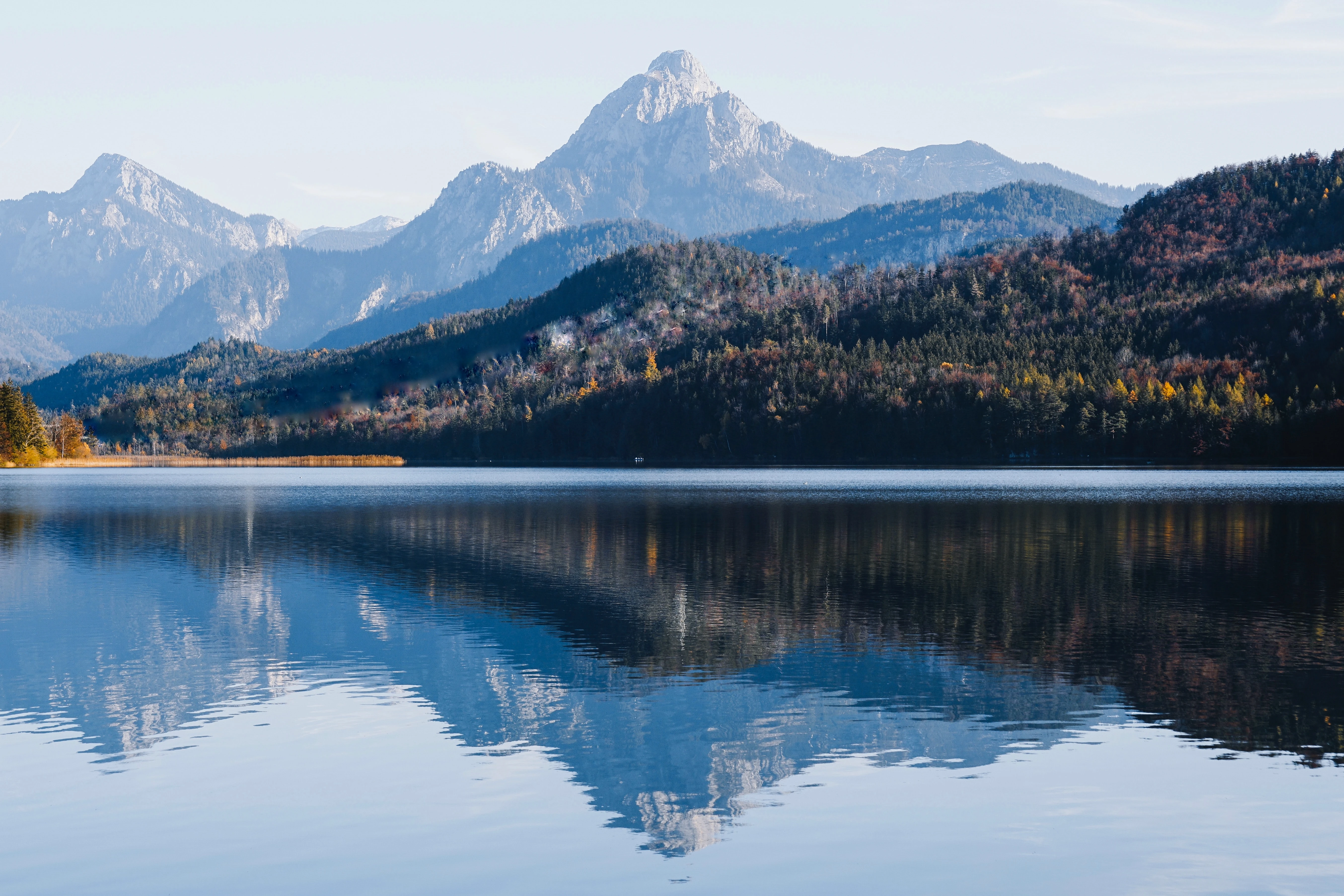See mit idyllischer Wald- und Berglandschaft im Hintergrund