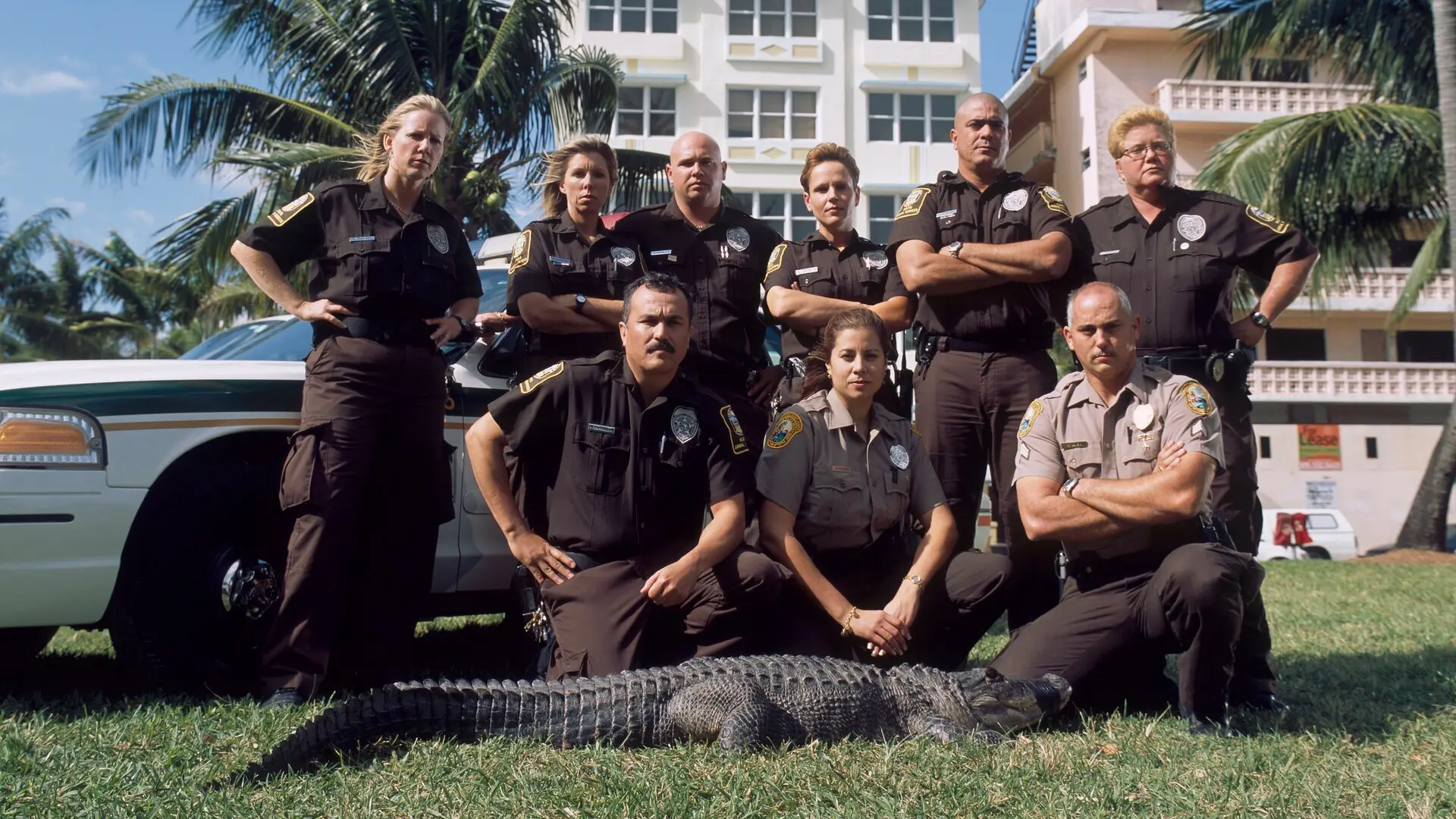 Tierpolizei Miami