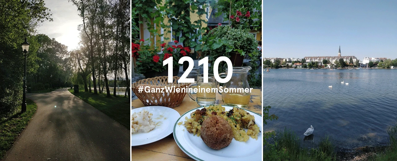 © Julia Nemetz Triptychon: Parkweg, Essen im Freien, See mit Schwänen. Schöner Sommertag.