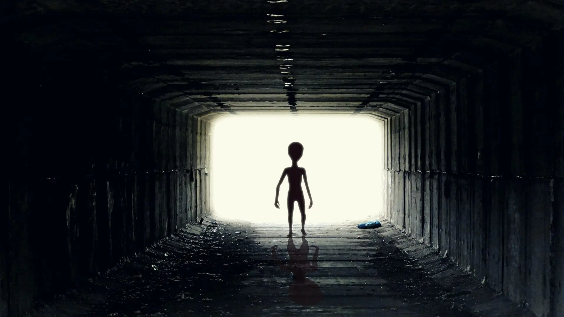 Unerklärliche Phänomene - Ancient Aliens