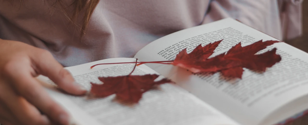 Offenes Buch mit zwei roten Herbstblättern als Lesezeichen. Ruhige Herbstatmosphäre.