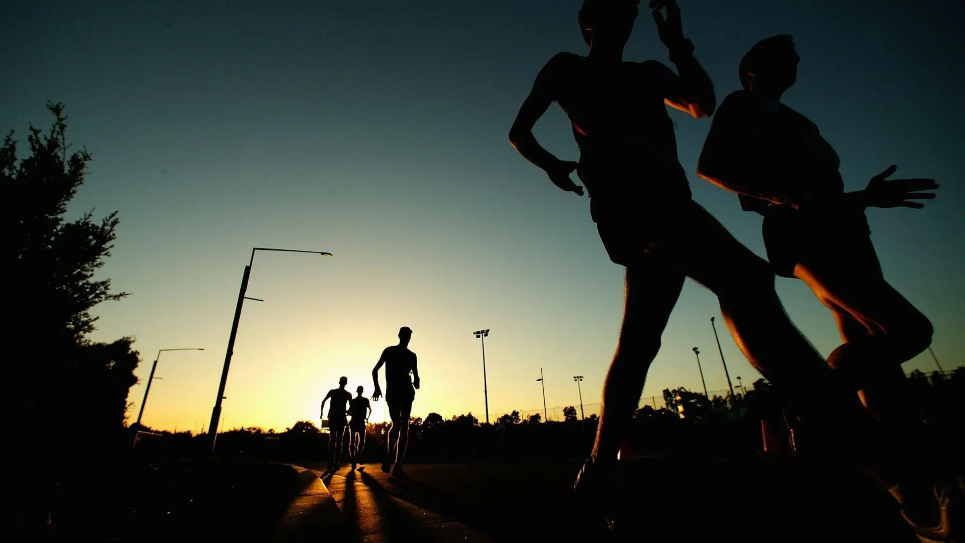Trail: GT World Series