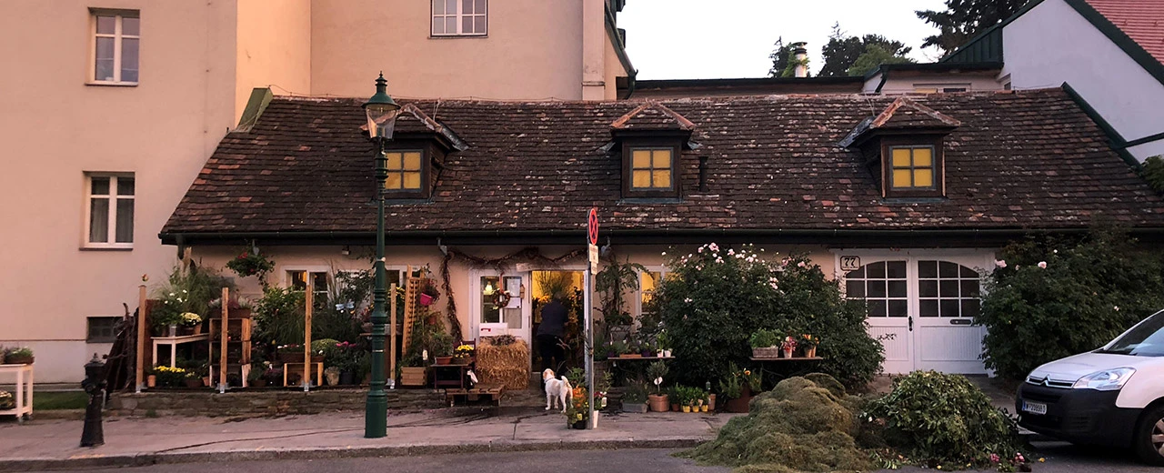 Blumenladen in historischem Gebäude am Abend. Blumen, Pflanzen, Ziegeldach, gemütliche Atmosphäre.