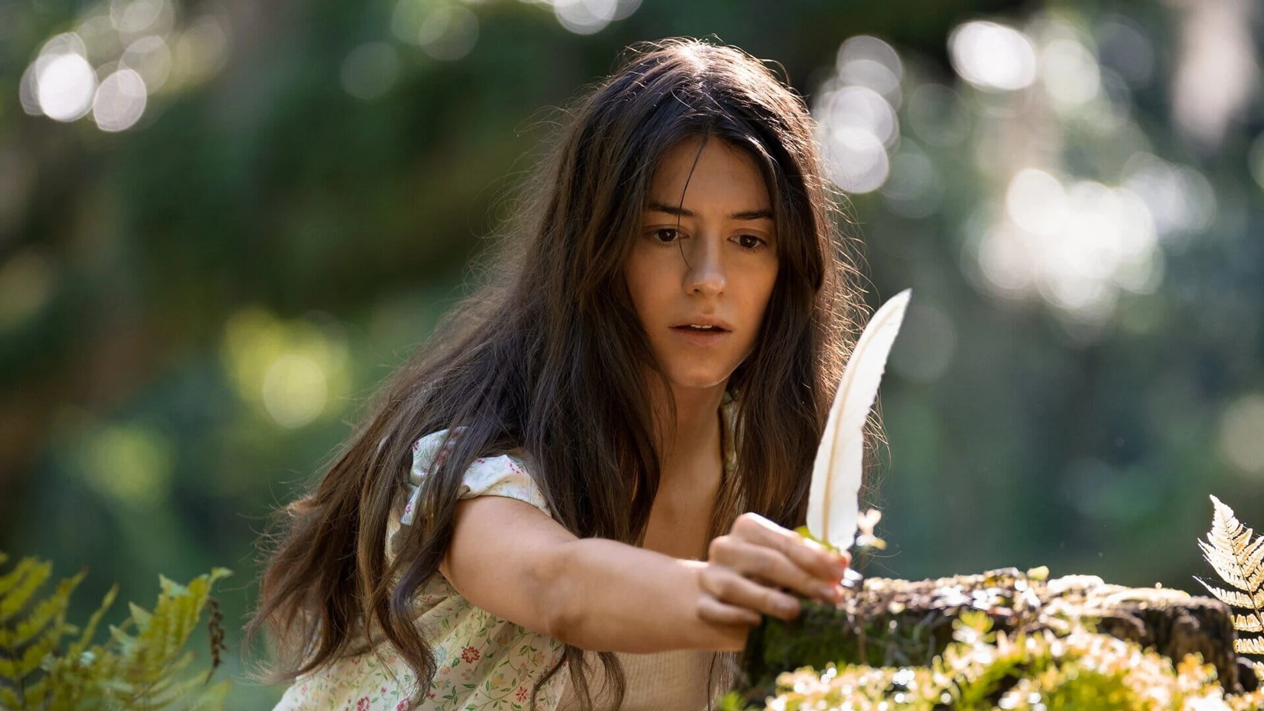 Der Gesang der Flusskrebse