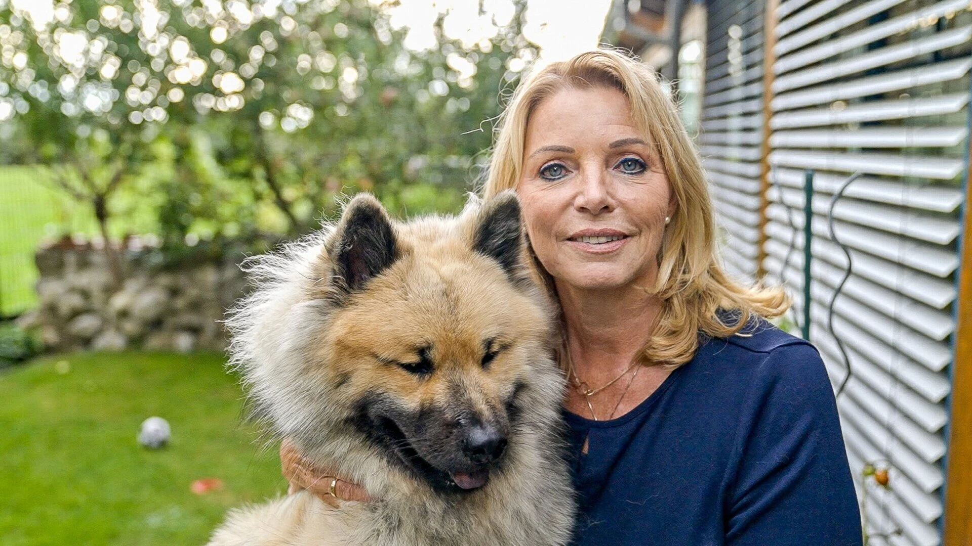 Auf den Hund gekommen