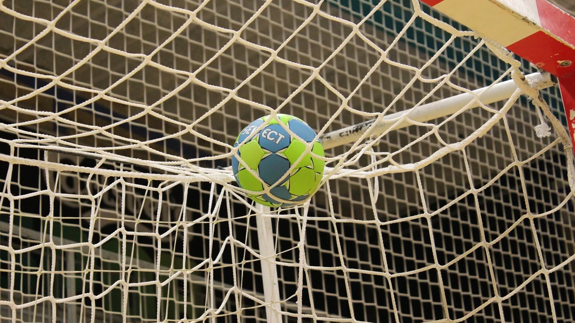 Handball Herren HLA 2024/2025