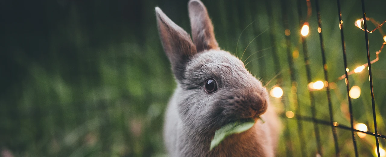 © Leximphoto Via Unsplash