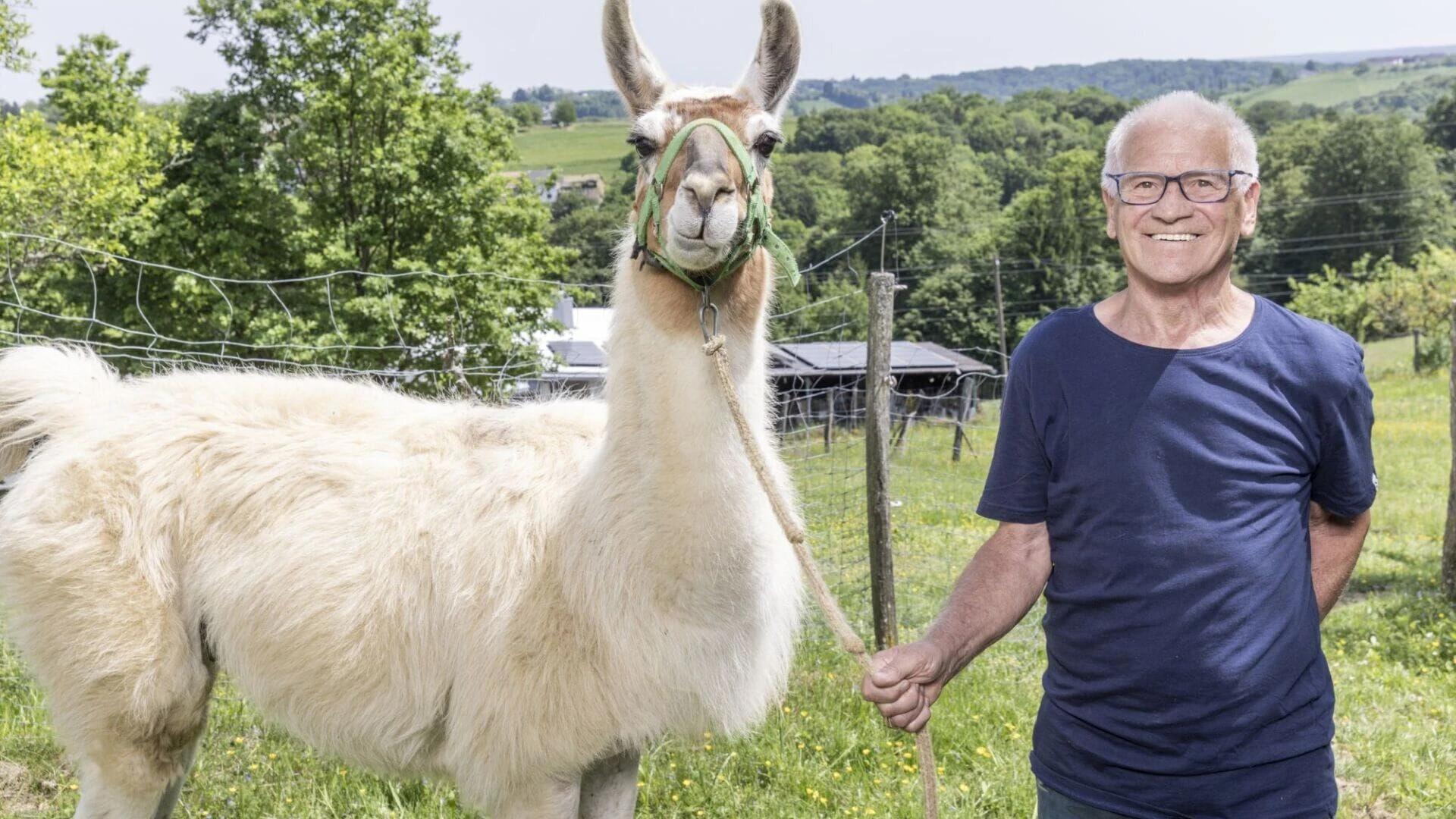 Bauer sucht Frau