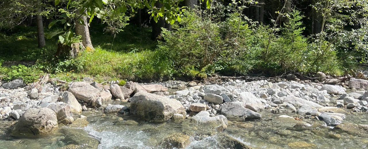 Klares Wasser eines Gebirgsbachs fließt über Steine und Kies. Das Ufer ist von grüner Vegetation bedeckt.