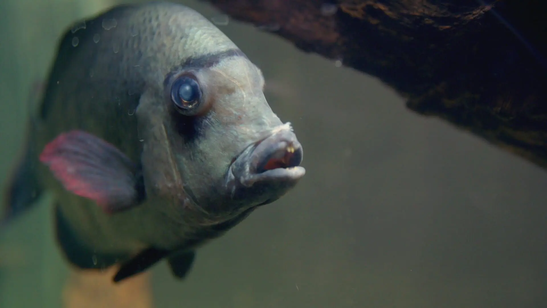 Zoo und so - Tierisch wild!