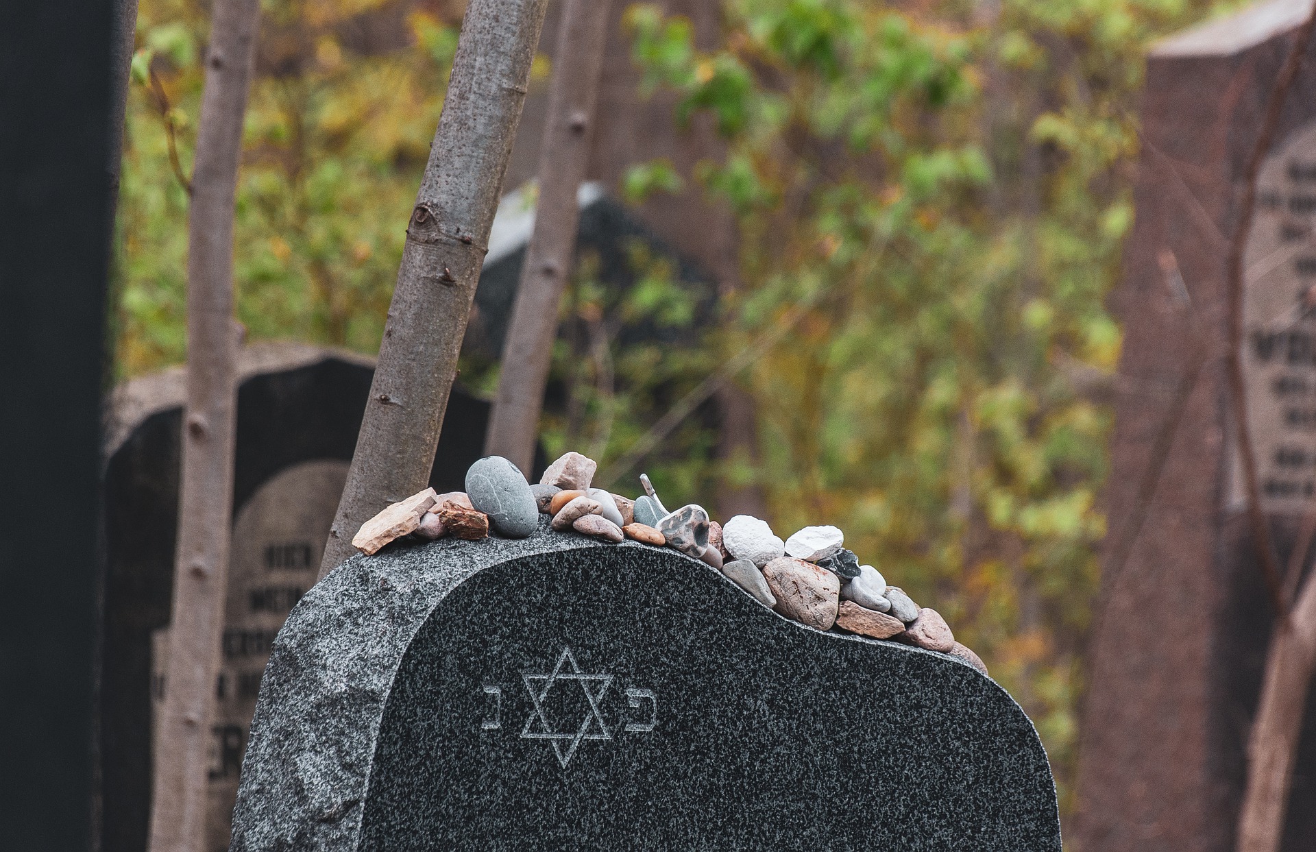 Ehrenamtliches Engagement am jüdischen Friedhof in Währing
