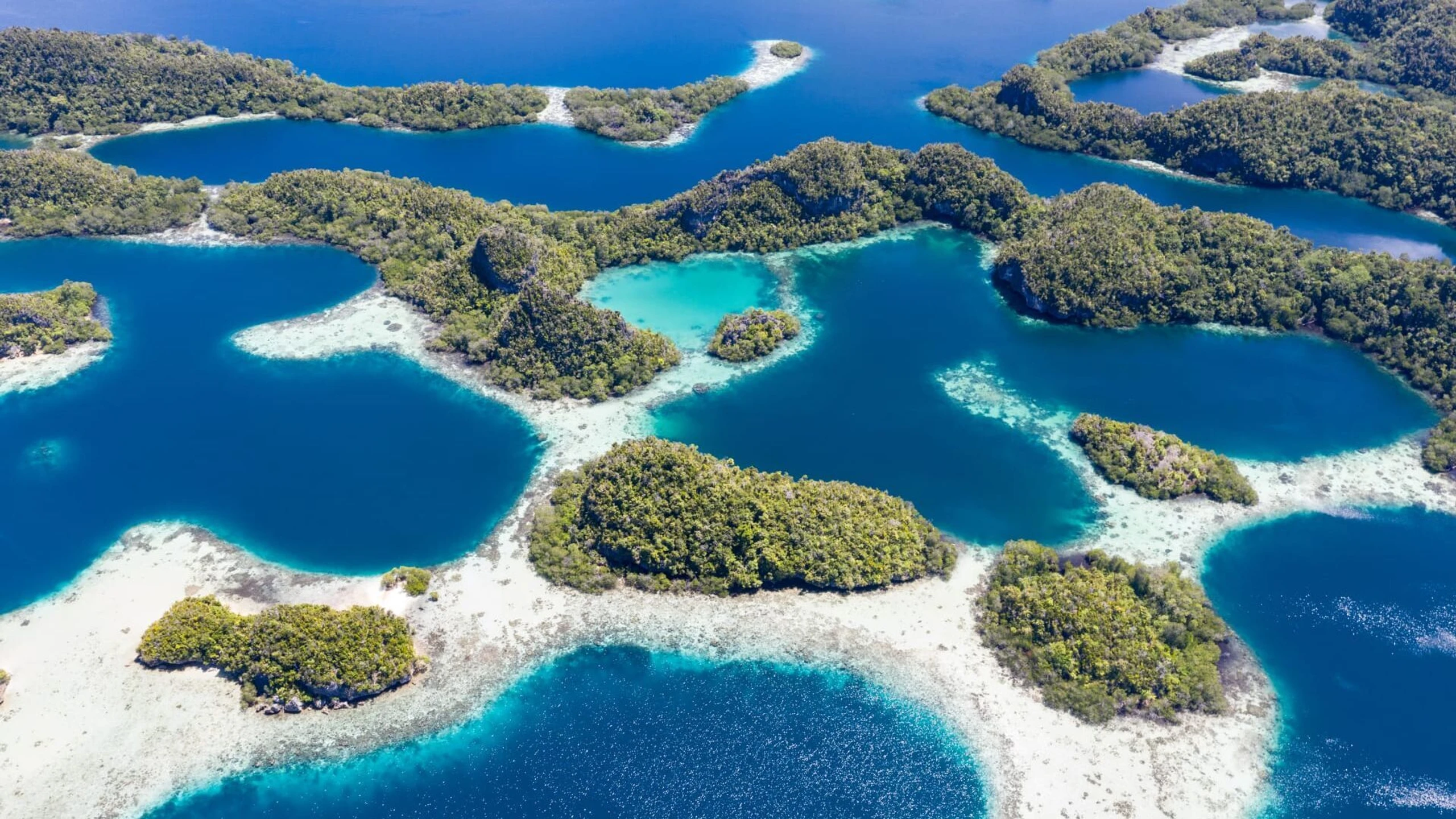 Durch die Wildnis mit Simon Reeve