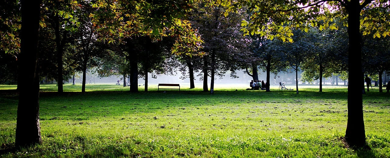 © „Praterschwaden“ von Christian Kadluba via Flickr, lizensiert über CC BY-SA 2.0 Ruhiger Park mit hohen Bäumen, grünem Rasen und Parkbank. Menschen entspannen sich im Schatten.
