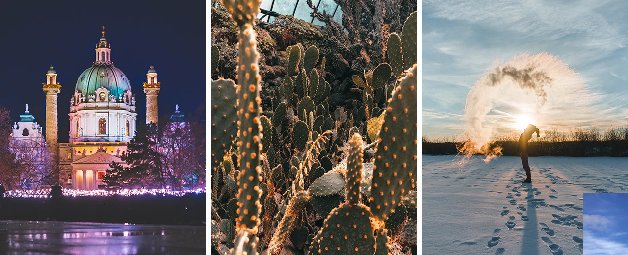Collage mit Bildern: Kirche bei Nacht, Kakteen, Winterszene. Erstellt mit Adobe Photoshop.