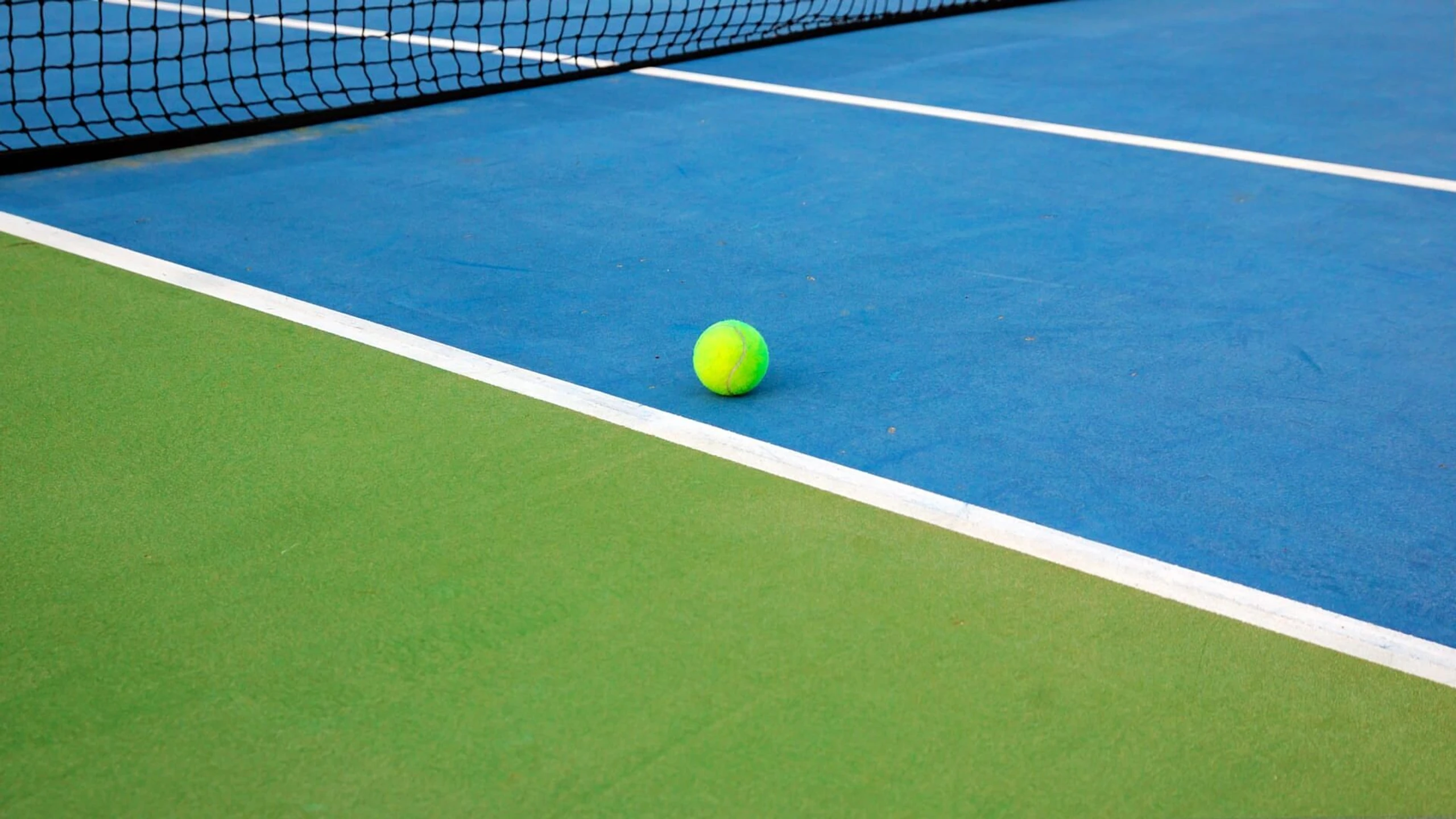 Tennis: ATP 500