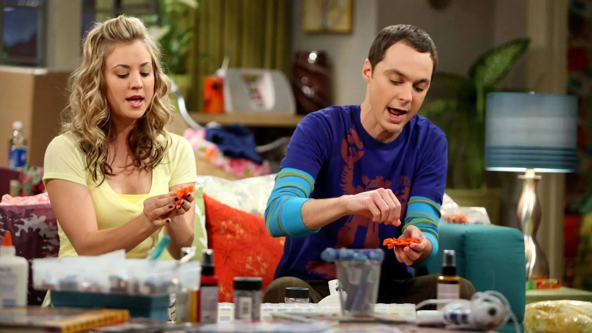The Big Bang Theory