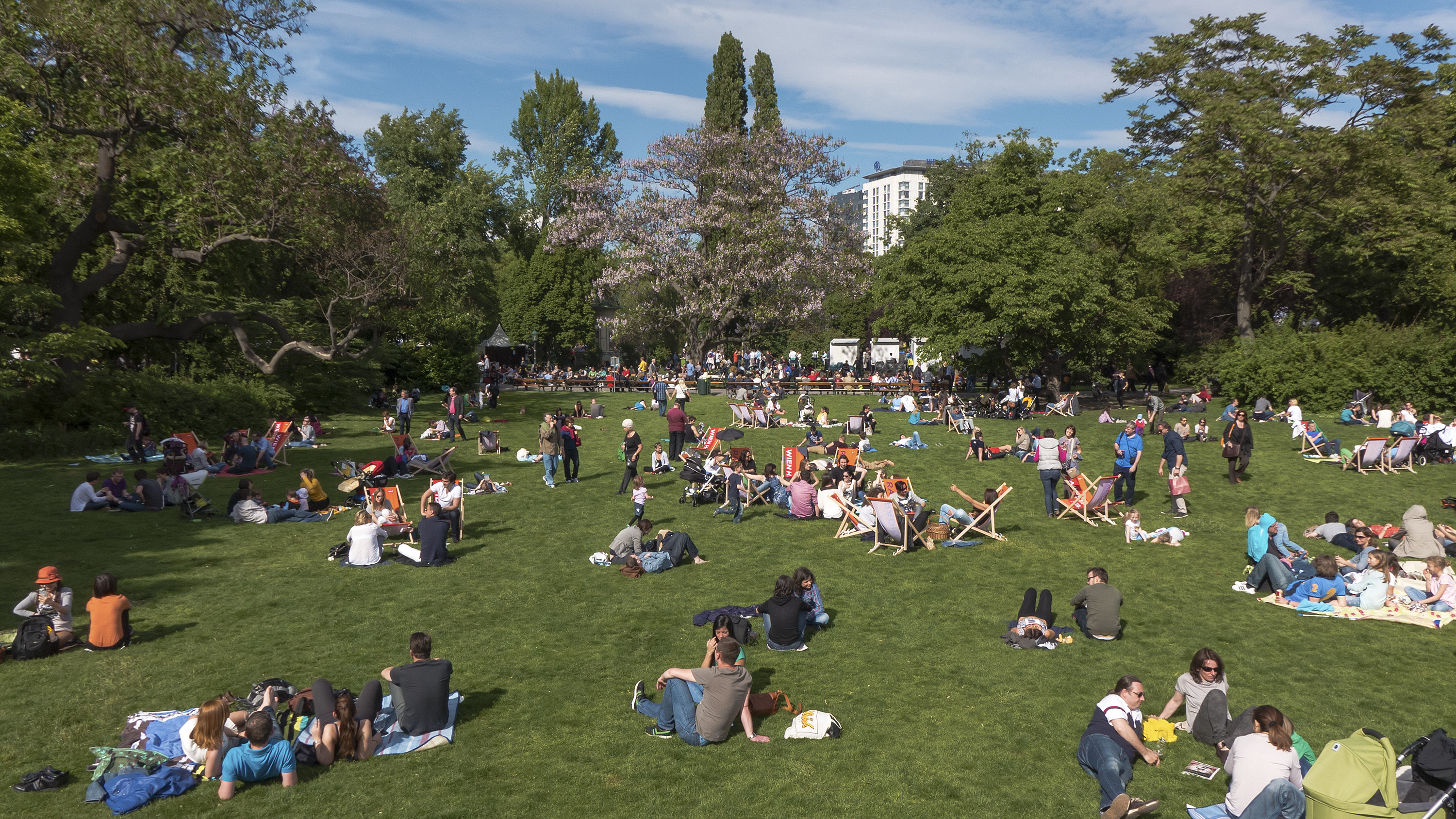 Stadtpark Wiese