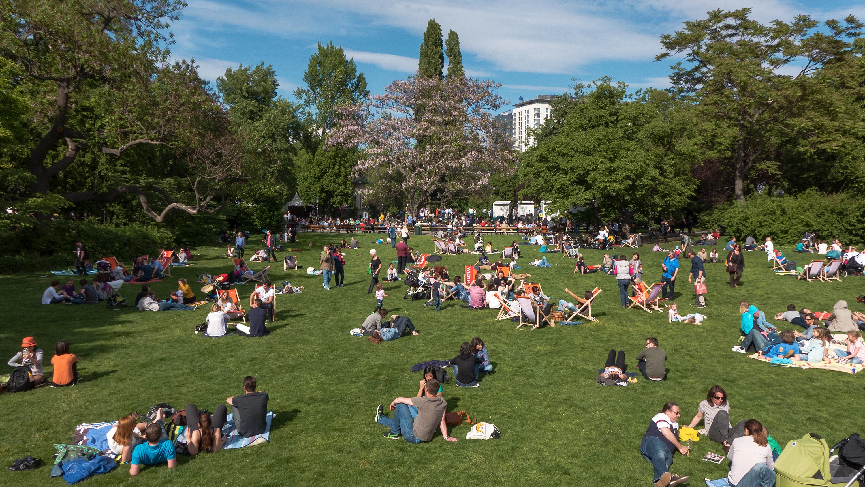 Stadtpark Wiese