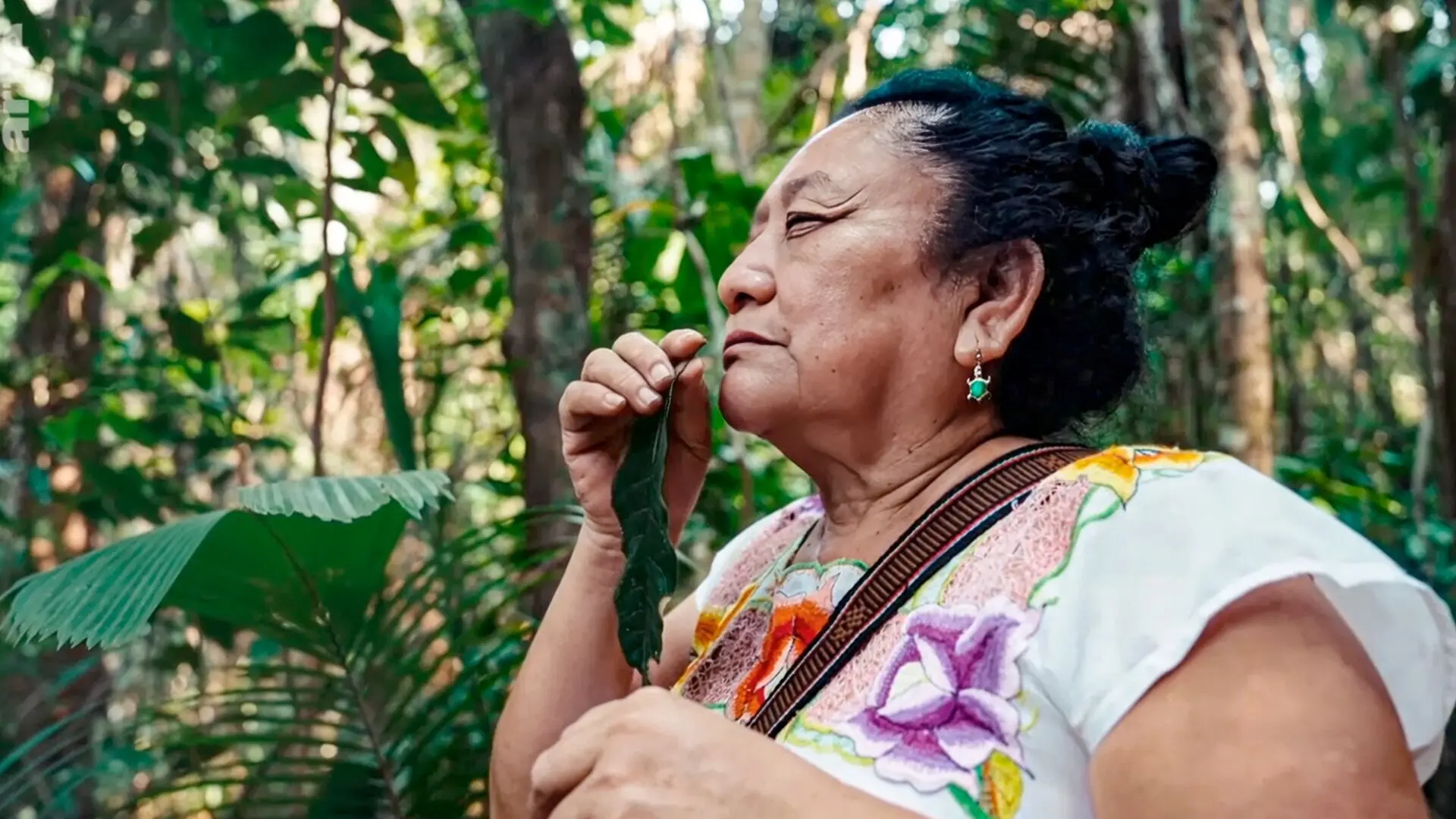 Belize - Wir sind Maya