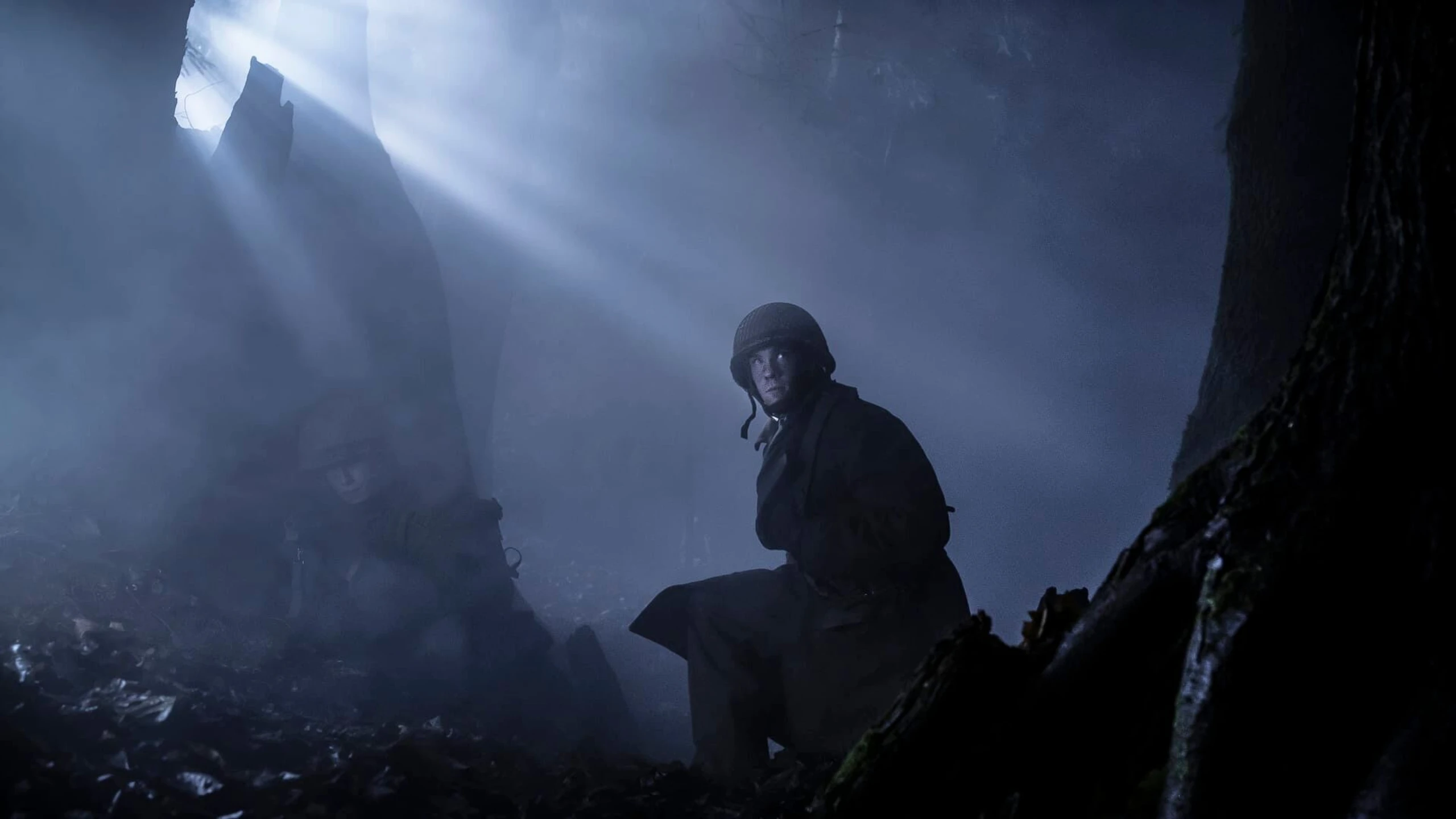 Hitlers letzter Widerstand