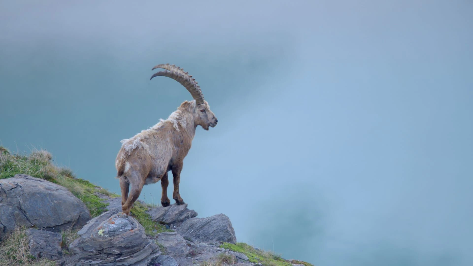Naturerbe Österreich - Die Nationalparks: Von den Anfängen