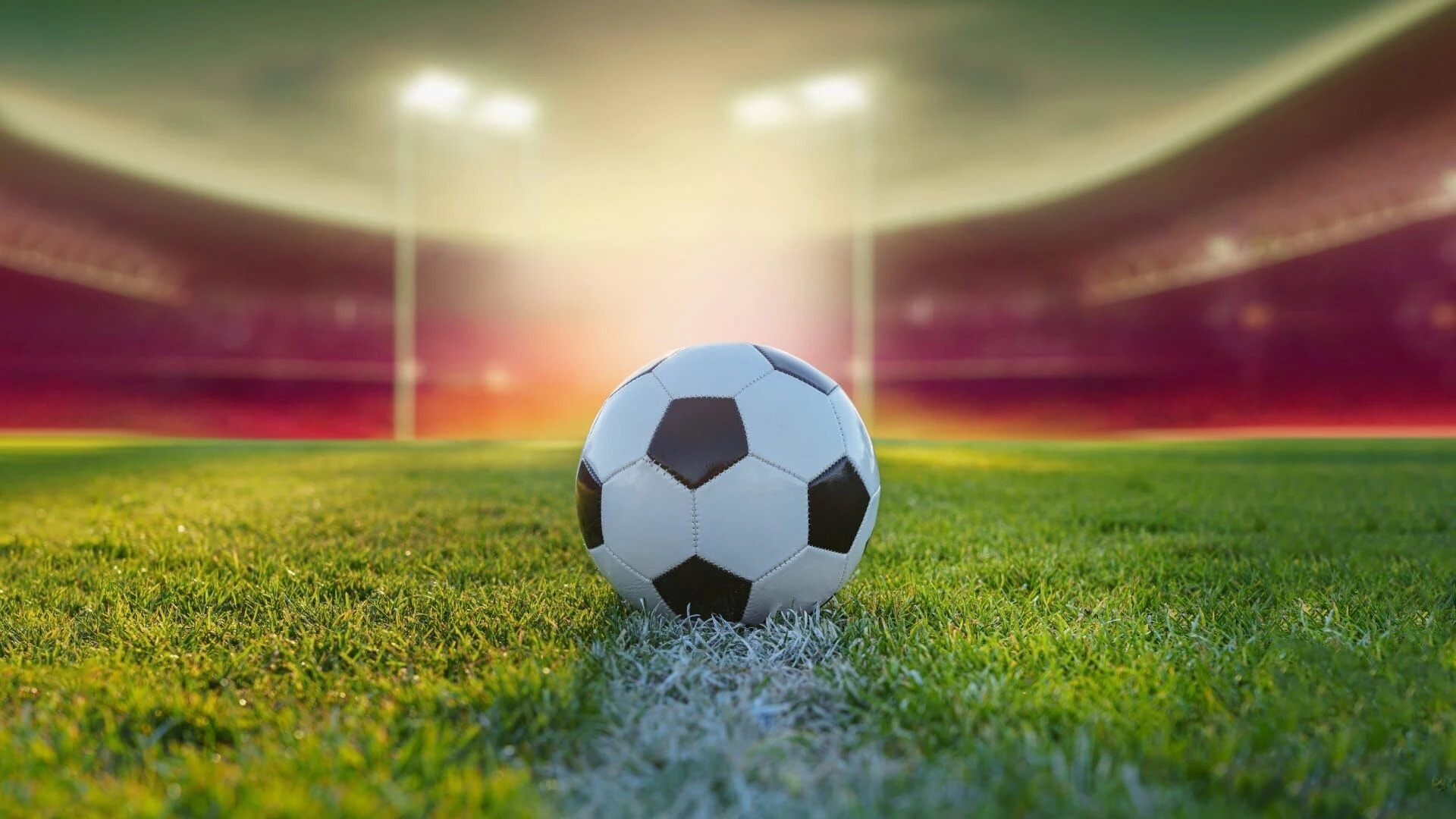 UEFA European Qualifiers: Slowakei - Deutschland