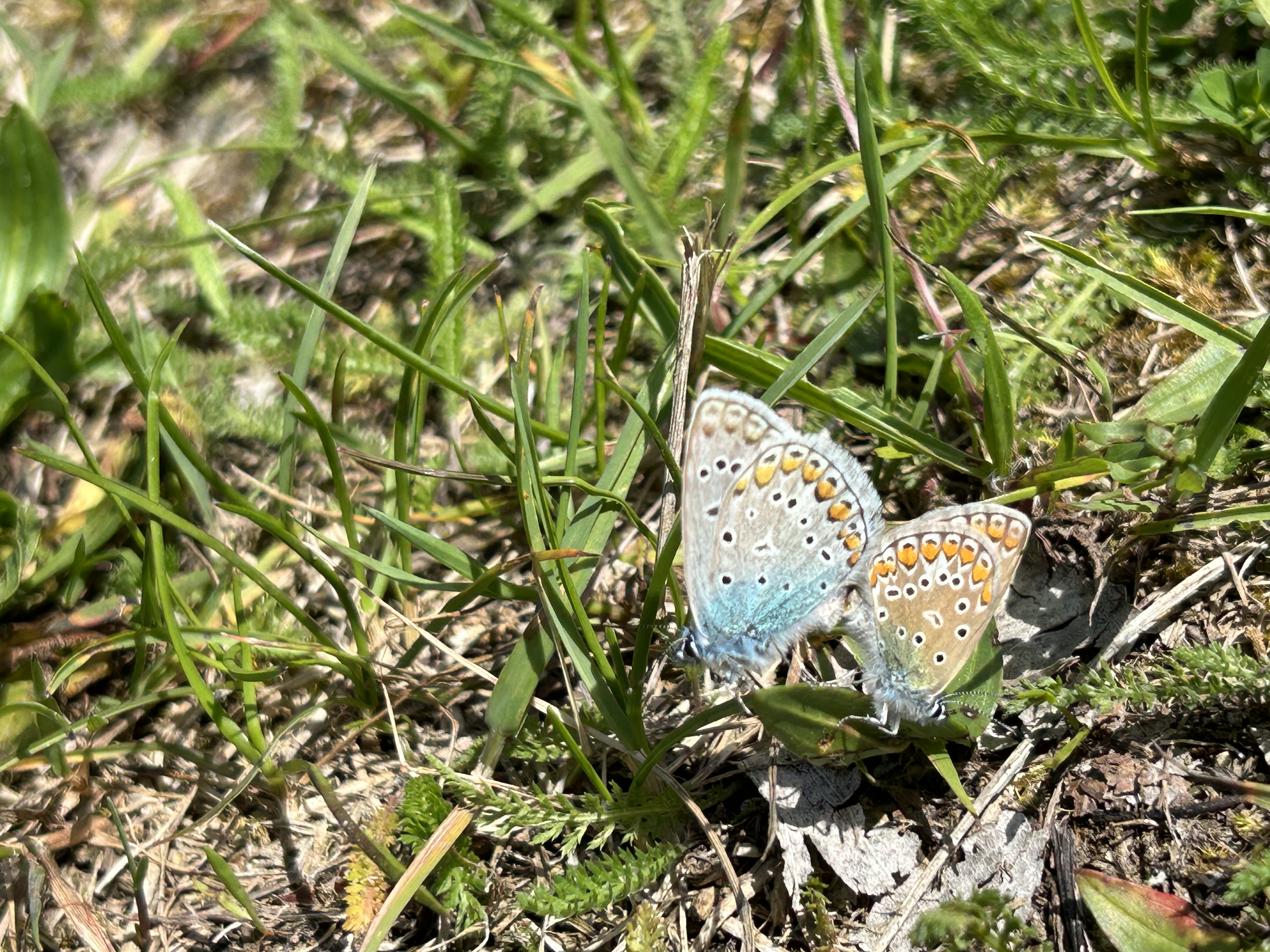 Auf Schatzsuche in Eggenburg