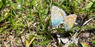 Auf Schatzsuche in Eggenburg