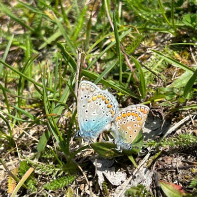 Auf Schatzsuche in Eggenburg