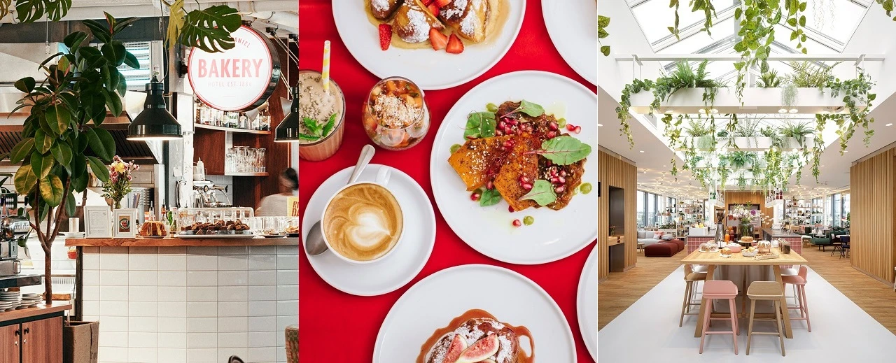 © Hotel Daniel | Hotel Babula | Hotel Zoku