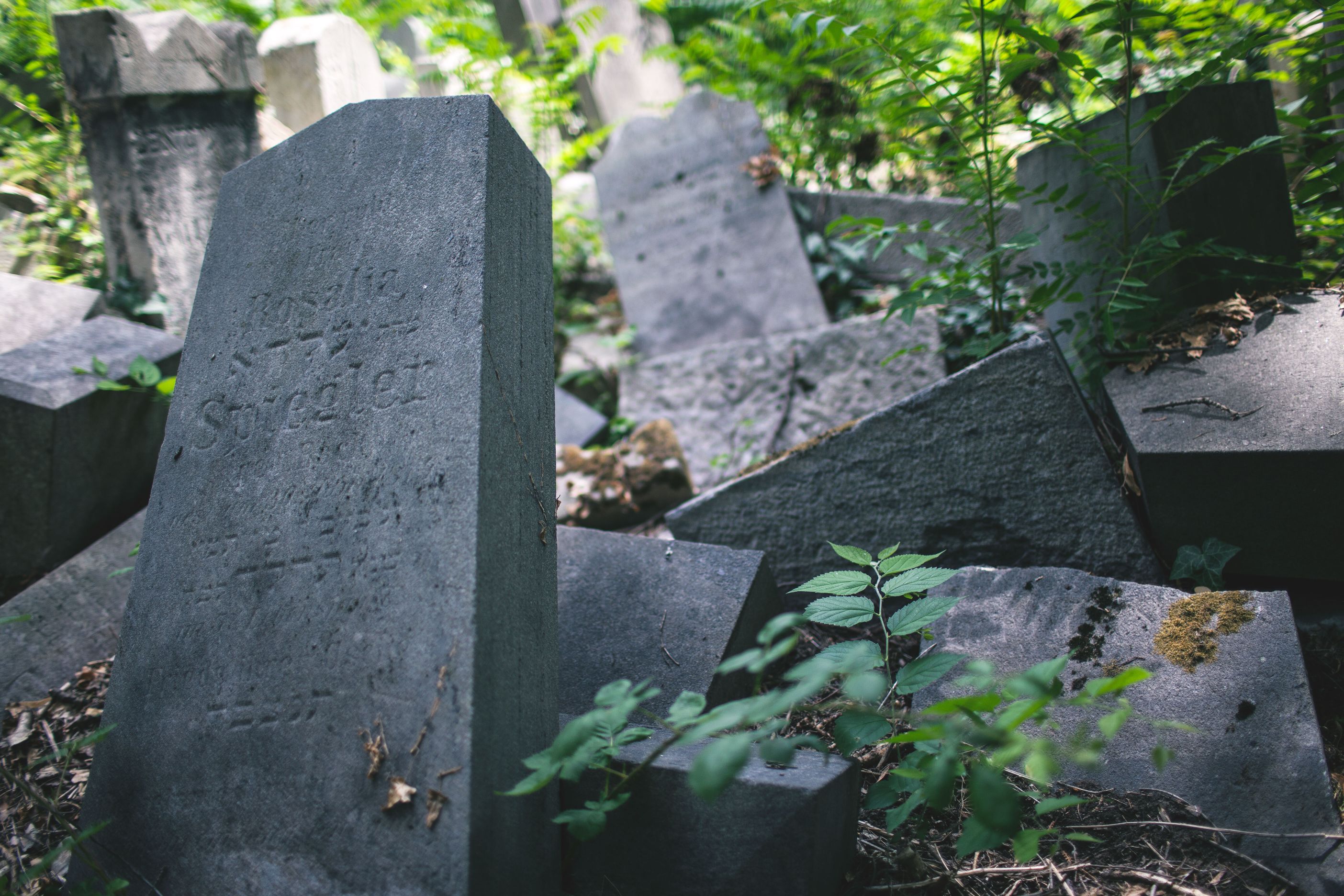 Jüdischer Friedhof