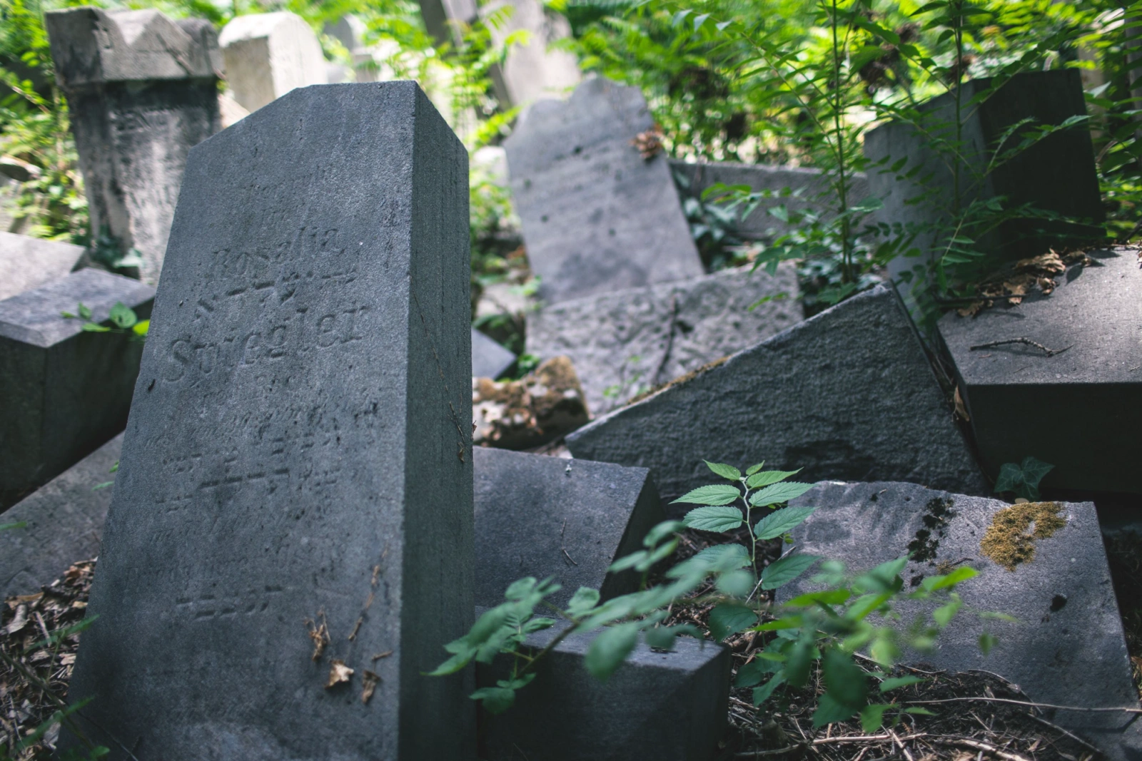 Jüdischer Friedhof