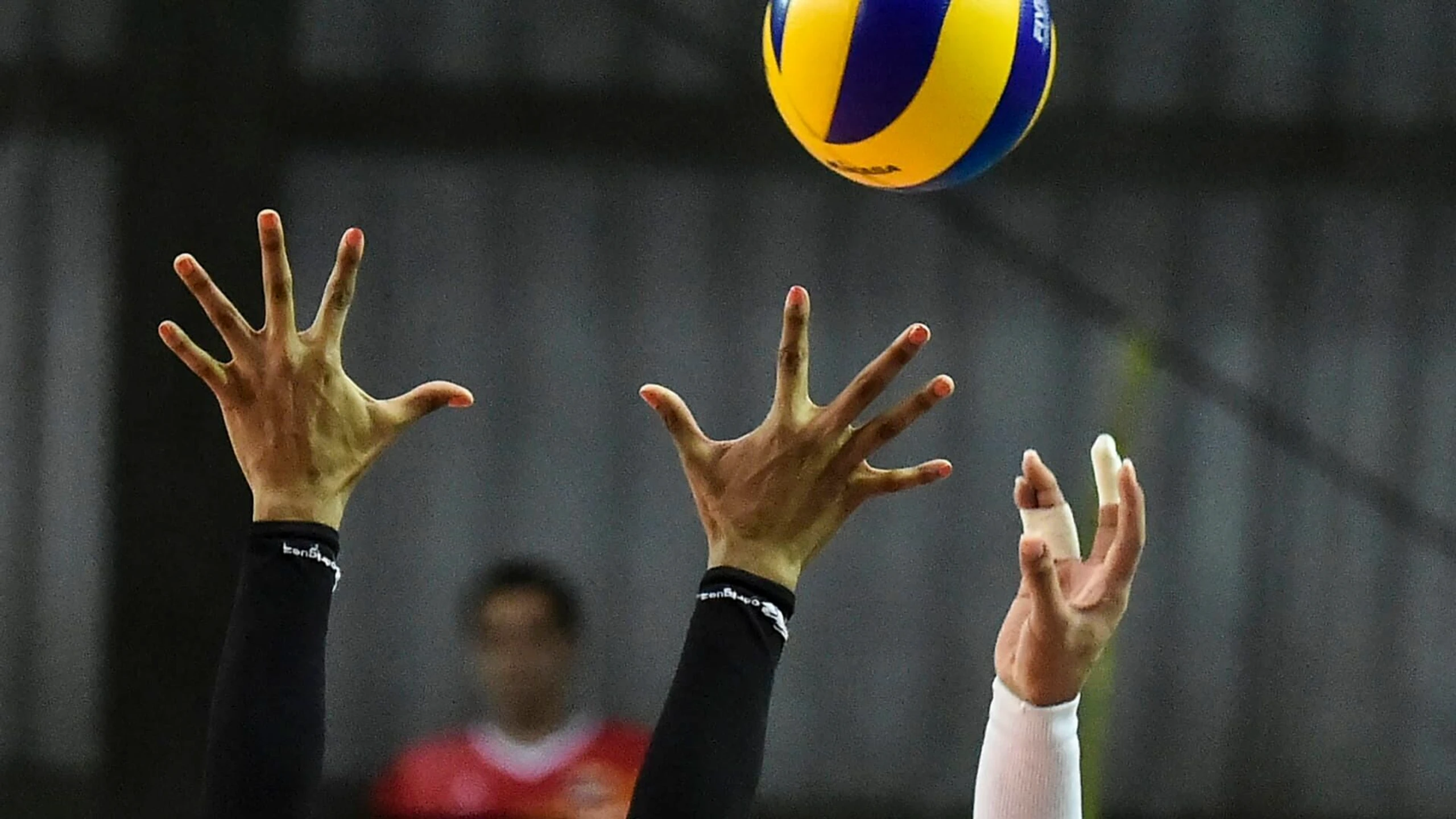 Volleyball Live - Bundesliga