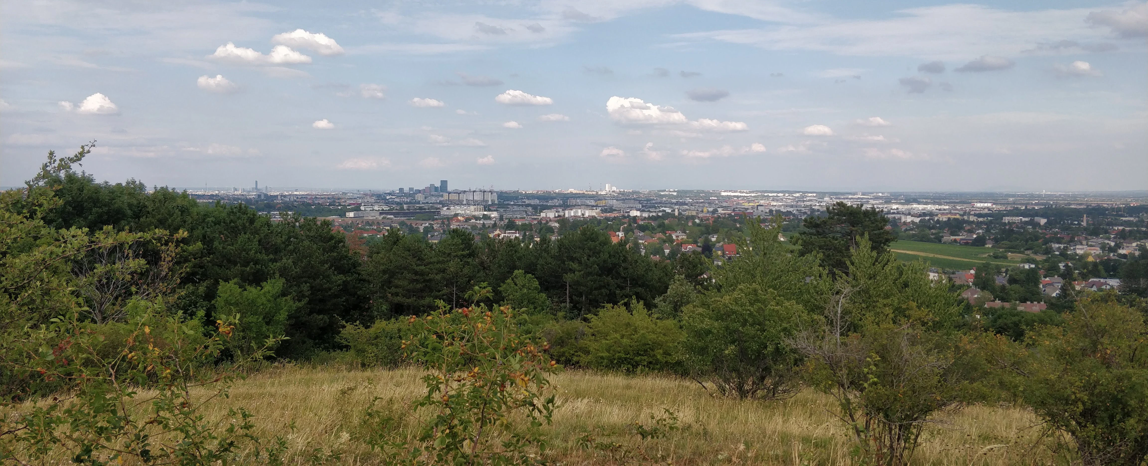 © Leslie Panoramablick von einem Hügel auf eine Stadt mit Skyline, Bäumen und hohen Gräsern. Aufgenommen mit einem OnePlus 5T.