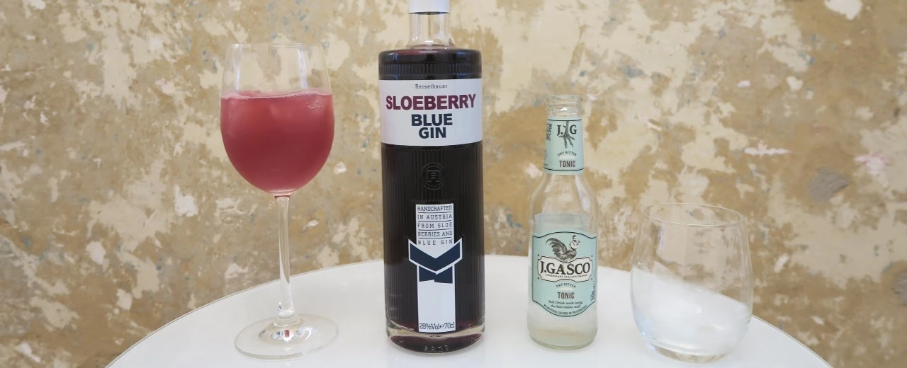 Glas Sloeberry Blue Gin Tonic, Flasche Sloeberry Blue Gin & J.Gasco Tonic. Perfekt für Gin-Rezepte.