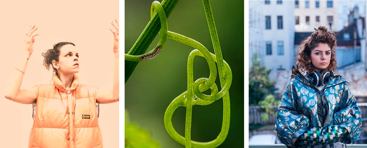 Triptychon: Frau mit orangefarbener Weste, Pflanze mit Raupe, junge Frau mit Kopfhörern.