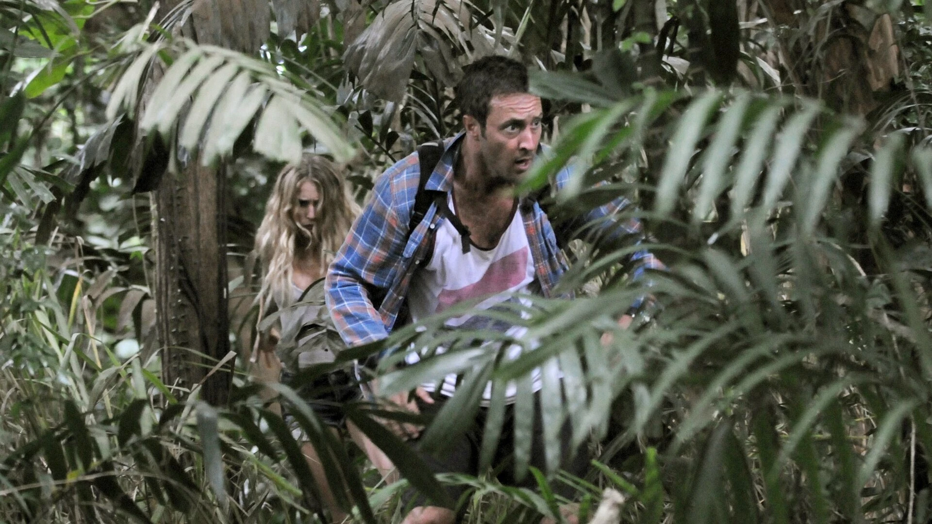 Hawaii Five-0