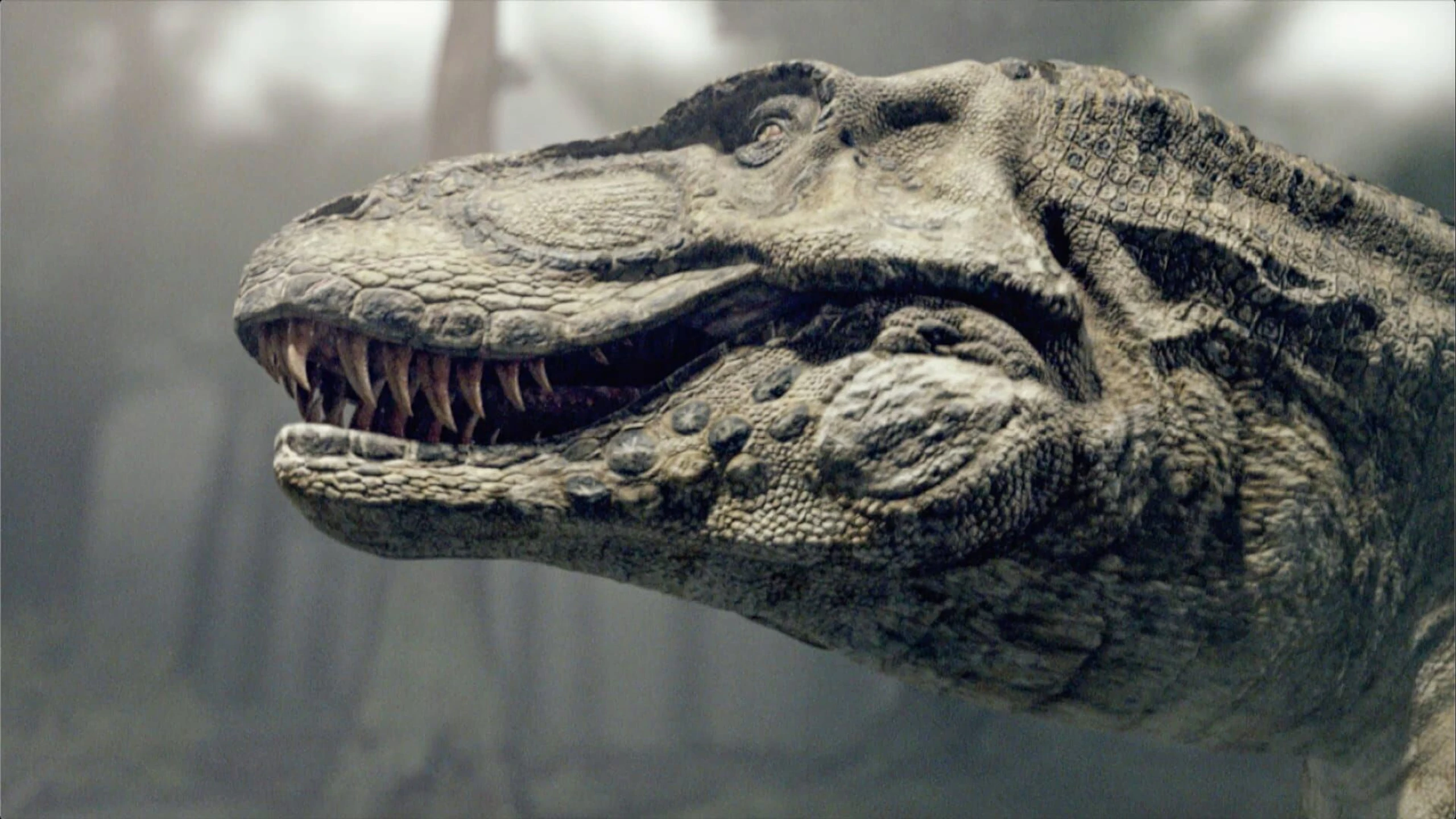 Fabelhafte Welt der Dinosaurier