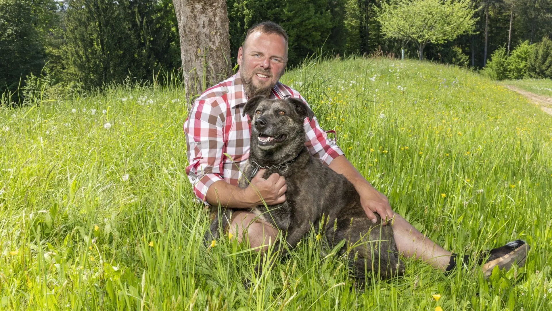 Bauer sucht Frau