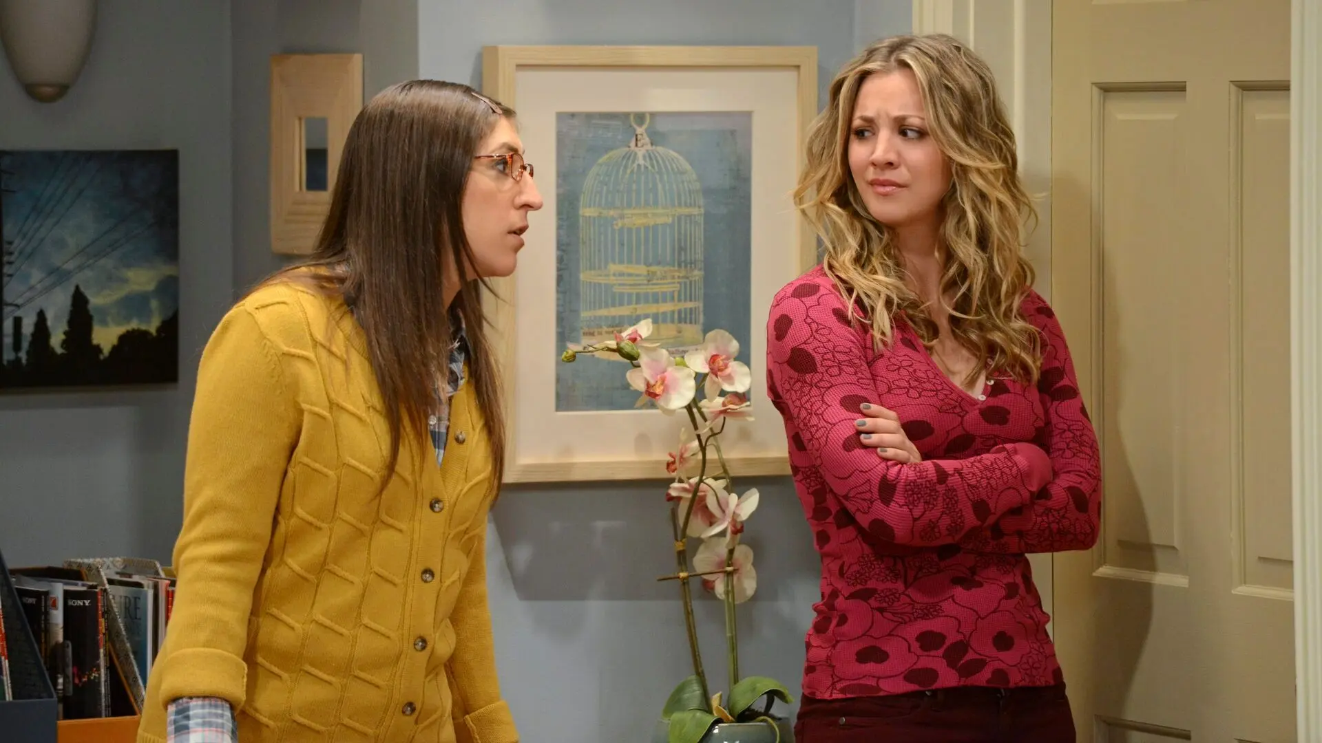 The Big Bang Theory