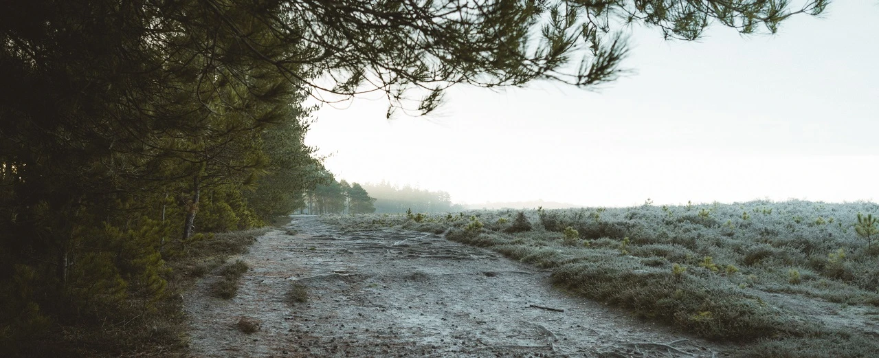 © Michelle Spencer on Unsplash