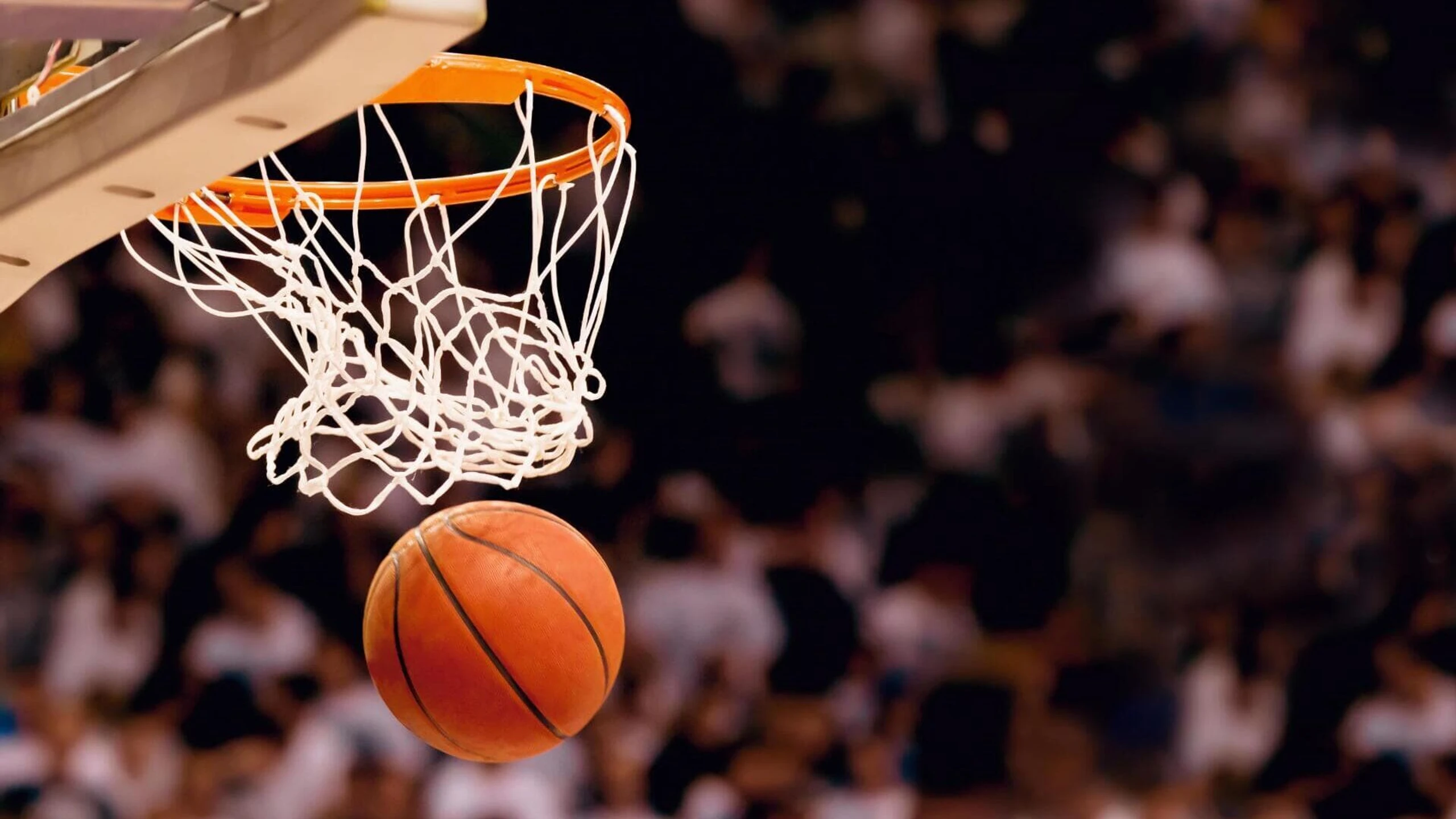 Basketball-Bundesliga Live: NINERS Chemnitz - FC Bayern München