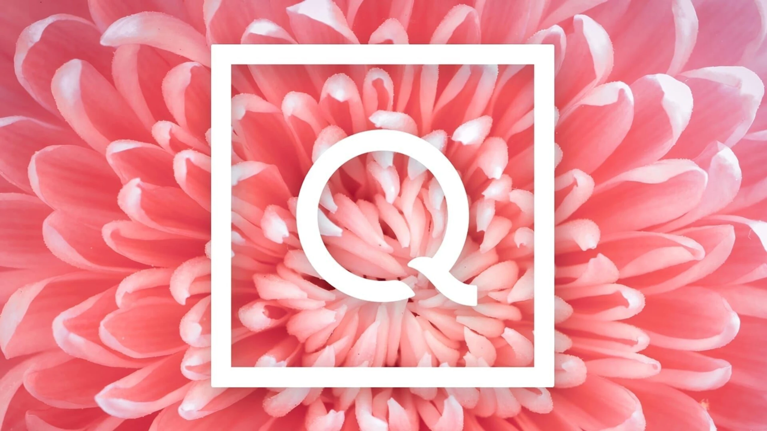 Dine 'n' dance - Fashion mit karibischem Flair